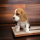 Beagle Puppies for sale in 1309 Coffeen Ave, Sheridan, WY 82801, USA. price: $2,900