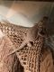 Bearded Dragon Reptiles for sale in Kennesaw, GA, USA. price: $200