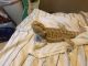 Bearded Dragon Reptiles for sale in Palm Springs, CA, USA. price: NA