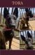 Belgian Shepherd Dog (Malinois) Puppies for sale in Kern County, CA, USA. price: $200
