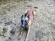 Belgian Shepherd Dog (Malinois) Puppies for sale in Cleveland, TN, USA. price: $100