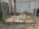 Belgian Shepherd Dog (Malinois) Puppies for sale in San Bernardino, CA, USA. price: NA