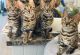 Bengal Cats for sale in Giorgia St, Parkville, MO 64152, USA. price: NA