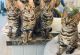 Bengal Cats for sale in New York New York Casino, Las Vegas, NV 89109, USA. price: NA