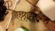 Bengal Cats for sale in Yankeetown, FL, USA. price: NA