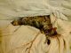 Bengal Cats for sale in St Pete Beach, FL, USA. price: NA