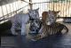 Bengal Cats for sale in 77002 38th Ave, Covert, MI 49043, USA. price: NA
