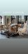 Bengal Cats for sale in North Miami, FL, USA. price: NA
