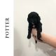 Bernedoodle Puppies for sale in Spanish Fort, AL 36527, USA. price: $2,200