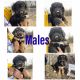 Bernedoodle Puppies for sale in Lebanon, MO 65536, USA. price: NA