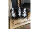 Bernese Mountain Dog Puppies for sale in NEW New Paltz Plaza, New Paltz, NY 12561, USA. price: NA