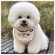 Bichon Frise Puppies for sale in Maine, ME 04736, USA. price: $250,000