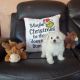 Bichon Frise Puppies for sale in Riverside, CA 92509, USA. price: $1,700
