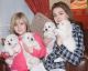 Bichon Frise Puppies for sale in Columbus, OH 43215, USA. price: NA