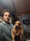 Bloodhound Puppies for sale in Thomaston, GA 30286, USA. price: NA