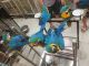 Blue-and-yellow Macaw Birds for sale in Montgomery, AL, USA. price: NA