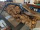 Blue-Tongued Skink Reptiles for sale in Milwaukee, WI, USA. price: $150