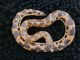 Boa Reptiles for sale in Florence, AZ, USA. price: $60
