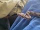 Boa constrictor Reptiles for sale in West Hartford, CT, USA. price: $125