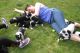 Border Collie Puppies for sale in Carlsbad, CA, USA. price: NA