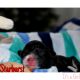 Bordoodle Puppies for sale in Orlando, FL, USA. price: NA