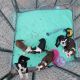 Boston Terrier Puppies for sale in Tarpon Springs, FL 34689, USA. price: $1,300