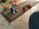 Boston Terrier Puppies for sale in Massachusetts Ave, Boston, MA, USA. price: NA