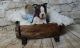 Boston Terrier Puppies for sale in San Jose, CA, USA. price: $550