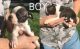 Boston Terrier Puppies for sale in Greencastle, IN 46135, USA. price: $500