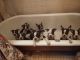 Boston Terrier Puppies for sale in Hawkinsville, GA 31036, USA. price: NA