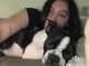 Boston Terrier Puppies for sale in Cheyenne, WY, USA. price: NA