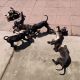 Boxer Puppies for sale in Corona, CA, USA. price: $700