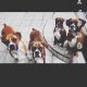 Boxer Puppies for sale in Turlock, CA 95380, USA. price: $400