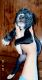 Boxer Puppies for sale in Buford, GA, USA. price: NA
