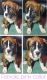 Boxer Puppies for sale in Moses Lake, WA 98837, USA. price: $1,000