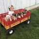 Boxer Puppies for sale in Mechanicsburg, OH 43044, USA. price: NA