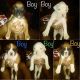 Boxer Puppies for sale in Casa Grande, AZ, USA. price: NA