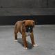 Boxer Puppies for sale in Fairfax, VA 22030, USA. price: NA
