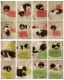 Brittany Puppies for sale in Ellisville, IL 61431, USA. price: NA