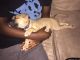Bull and Terrier Puppies for sale in Smyrna, TN, USA. price: NA