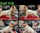 Bull Terrier Puppies for sale in New York City, New York. price: $500