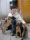 Bullmastiff Puppies for sale in Allen St, New York, NY 10002, USA. price: NA