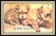Bullmastiff Puppies for sale in Sherrodsville, OH 44675, USA. price: $850