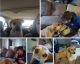 Bullmastiff Puppies for sale in Richmond, MO 64085, USA. price: $1