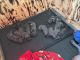 Cane Corso Puppies for sale in Annville, PA, USA. price: NA