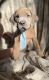 Cane Corso Puppies for sale in Miramar, FL 33027, USA. price: $800