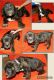 Cane Corso Puppies for sale in North Vernon, IN 47265, USA. price: $1,600