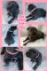 Cane Corso Puppies for sale in Pleasantville, PA 15521, USA. price: NA