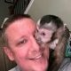 Capuchins Monkey Animals for sale in Dallas, TX, USA. price: NA