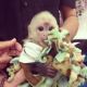 Capuchins Monkey Animals for sale in Lexington, SC, USA. price: $1,000